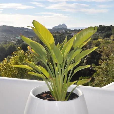 Oda ve Kahvaltı Abeniss Boutique 4*